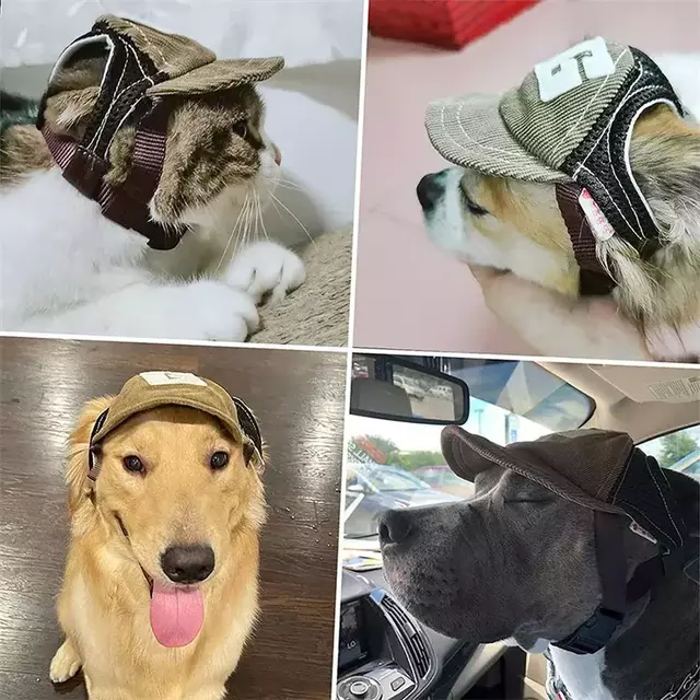 Cama Dobrável - Pais & Patas