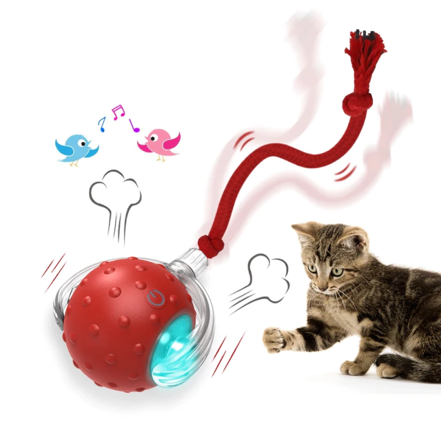 Bolinha Interativa Automática Sensor Pet Drive - comprar online